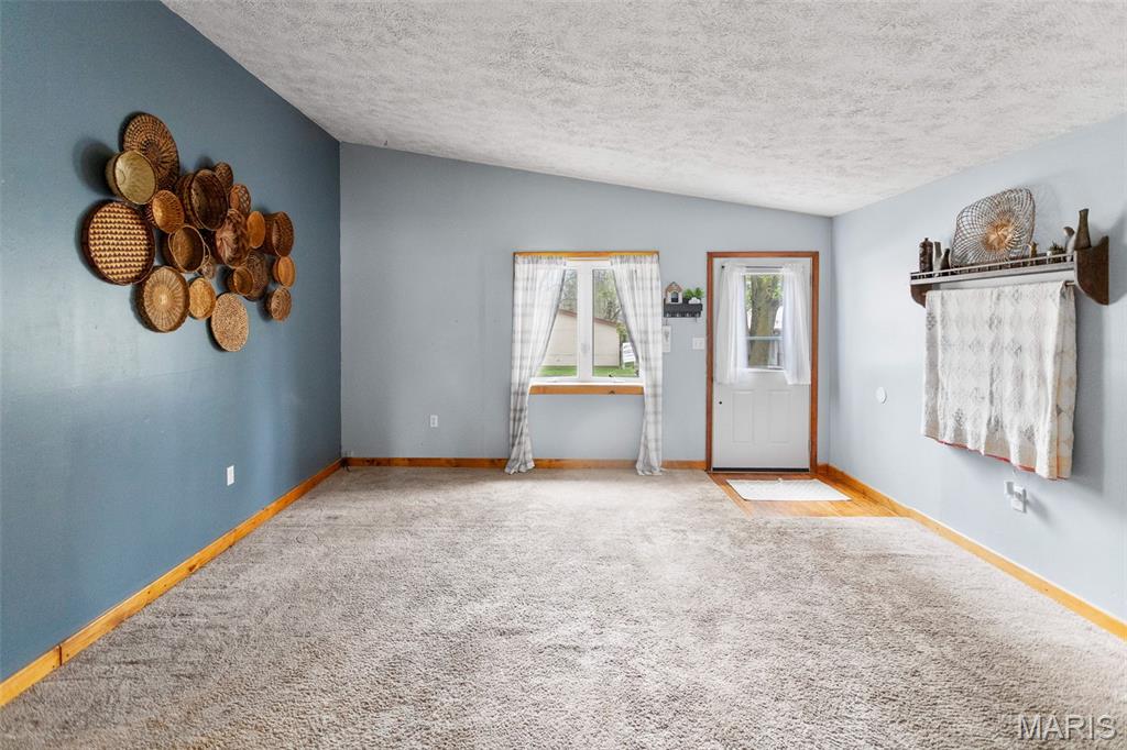 508 North Main Street Pleasant Hill, IL 62366 - Photo 17 of 77