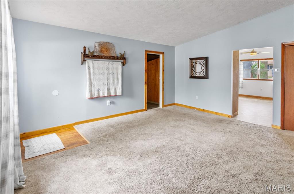 508 North Main Street Pleasant Hill, IL 62366 - Photo 20 of 77