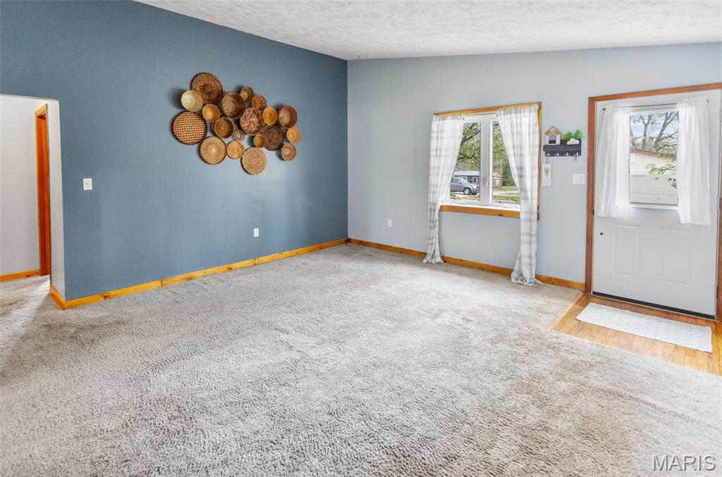 508 North Main Street Pleasant Hill, IL 62366 - Photo 21 of 77