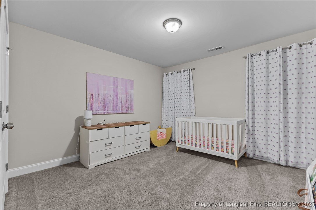 172 Haynes Church Road Raeford, NC 28376 - Photo 30 of 42