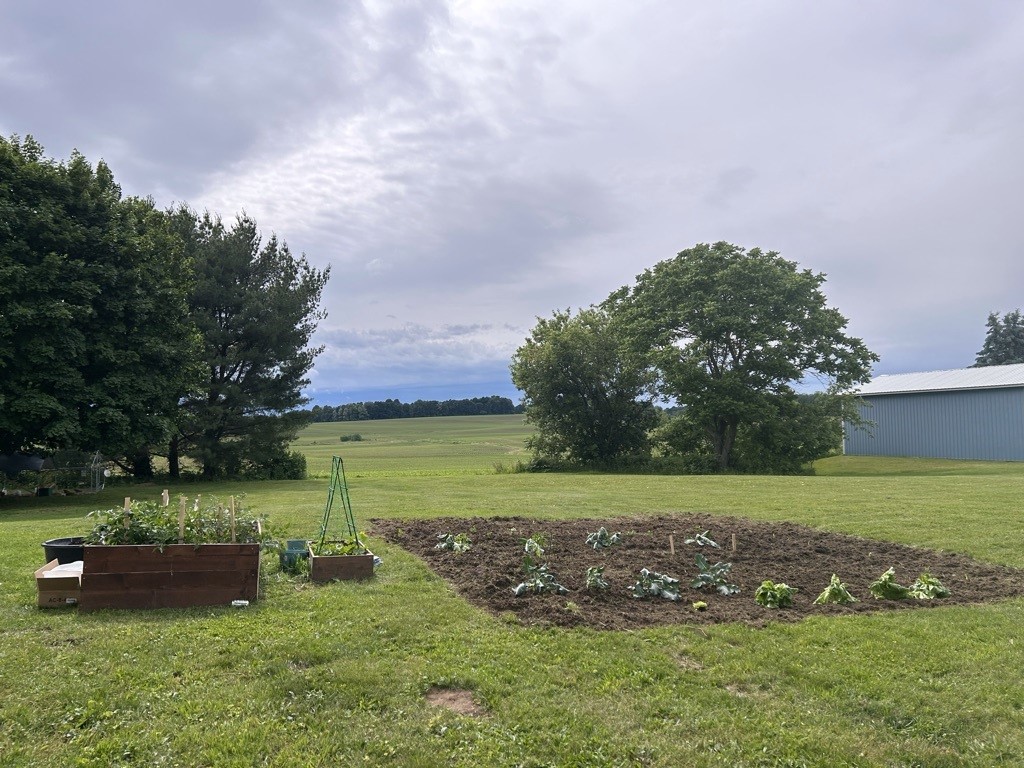 8675 Fenner Road Lysander, NY 13027 - Photo 9 of 25