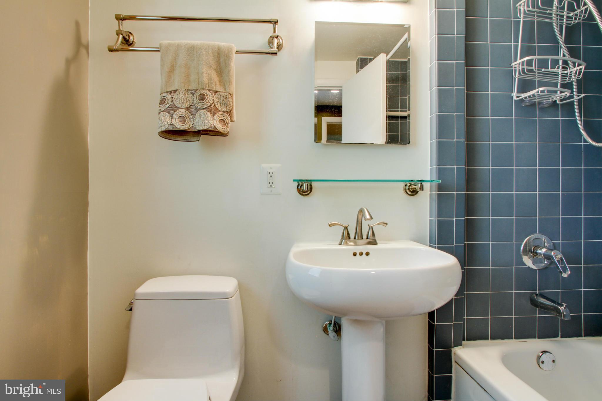 1600 Bushrod Road Alexandria, VA 22308 - Photo 50 of 54 Full bathroom on 1st lower level