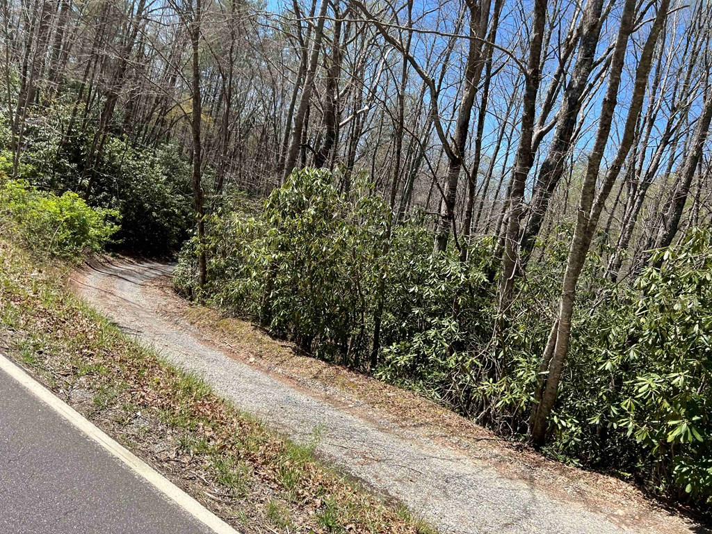 4.90 Wayah Road Topton, NC 28781 - Photo 8 of 8