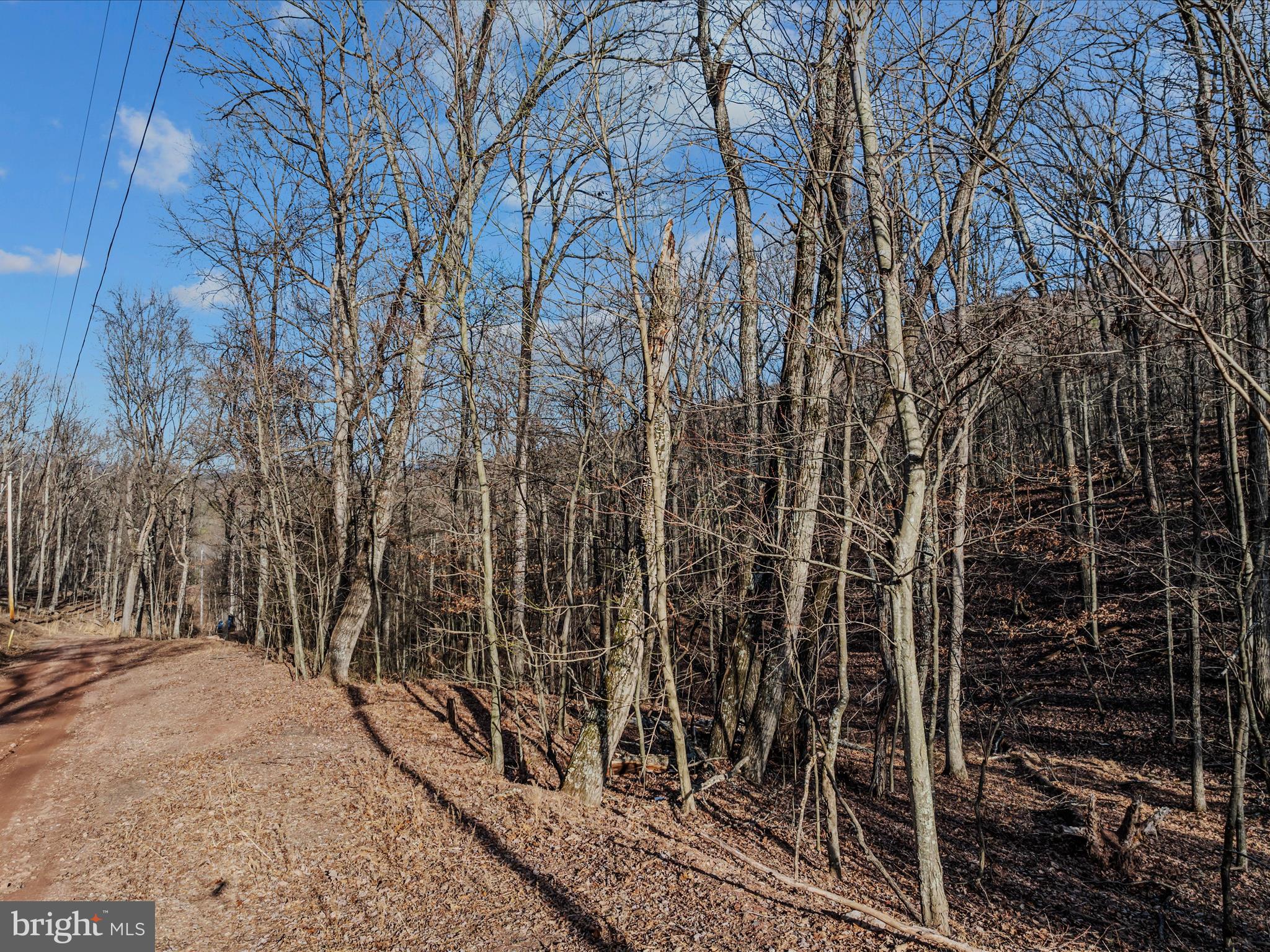 Ore Lane, Unit 25 Berkeley Springs, WV 25411 - Photo 11 of 23 Ore lane-Berkeley Springs-24