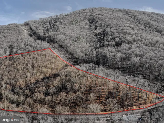 a view of a dry yard