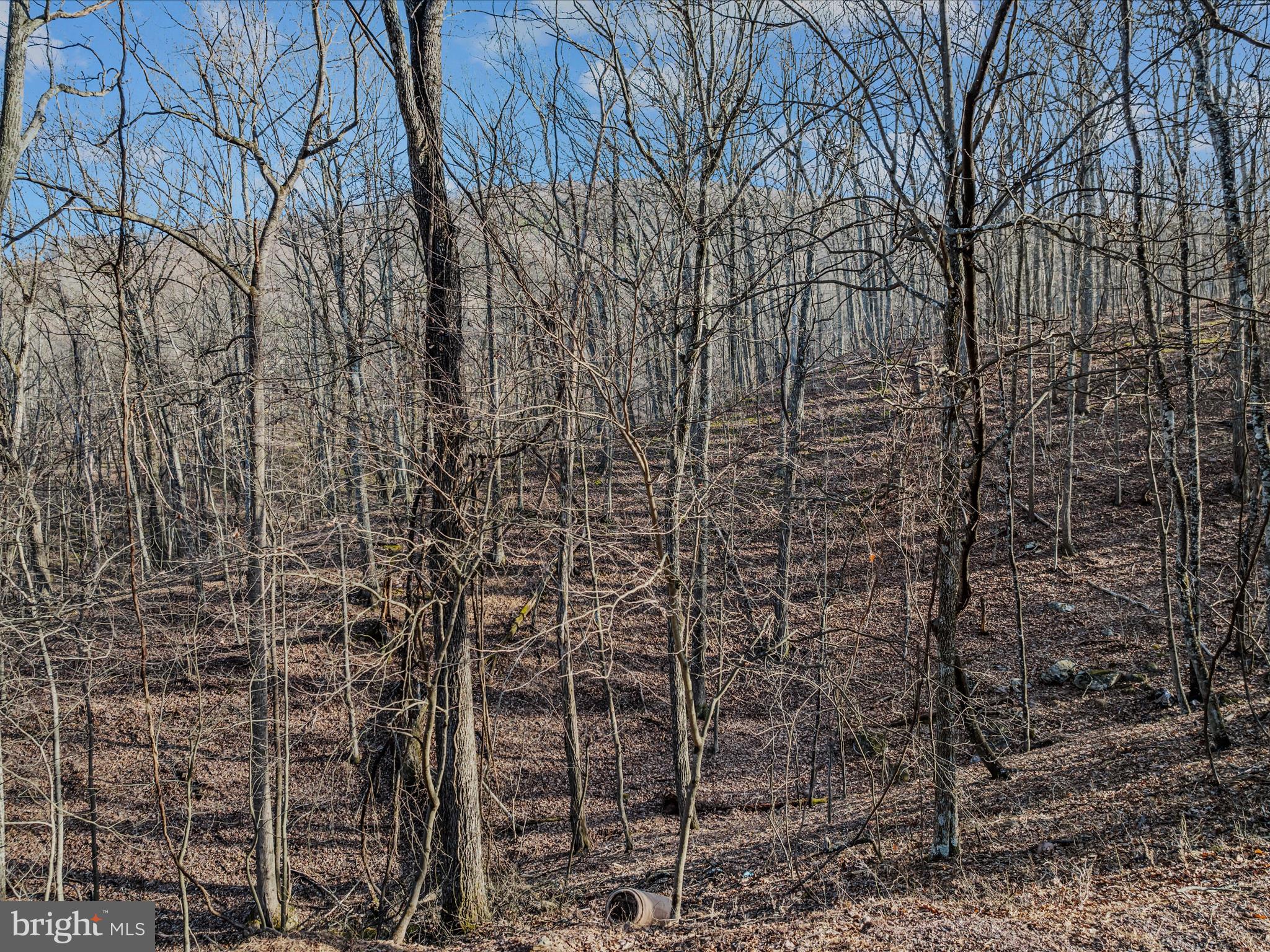 Ore Lane, Unit 25 Berkeley Springs, WV 25411 - Photo 5 of 23 Ore lane-Berkeley Springs-17