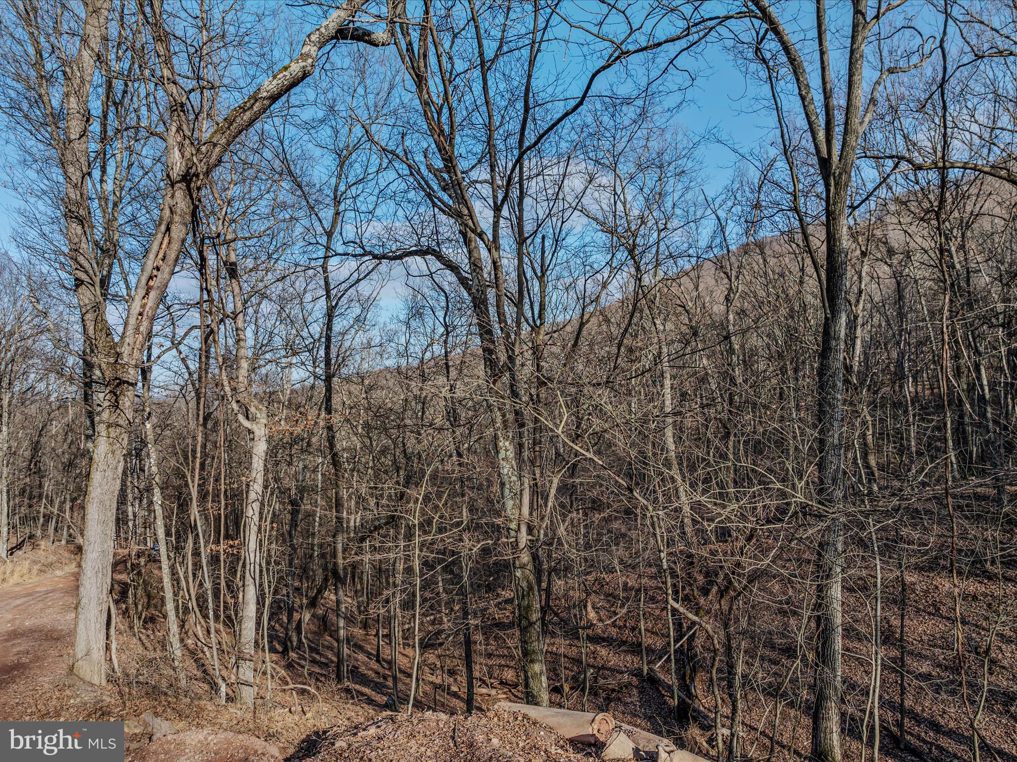 Ore Lane, Unit 25 Berkeley Springs, WV 25411 - Photo 6 of 23 Ore lane-Berkeley Springs-19