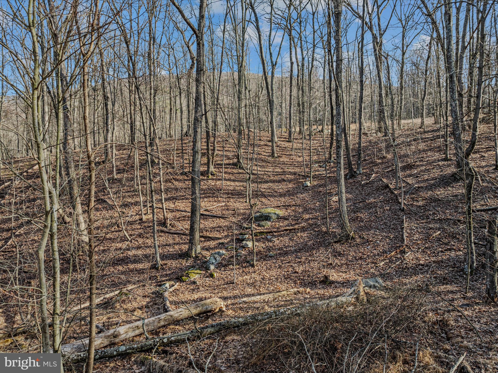 Ore Lane, Unit 25 Berkeley Springs, WV 25411 - Photo 7 of 23 Ore lane-Berkeley Springs-20