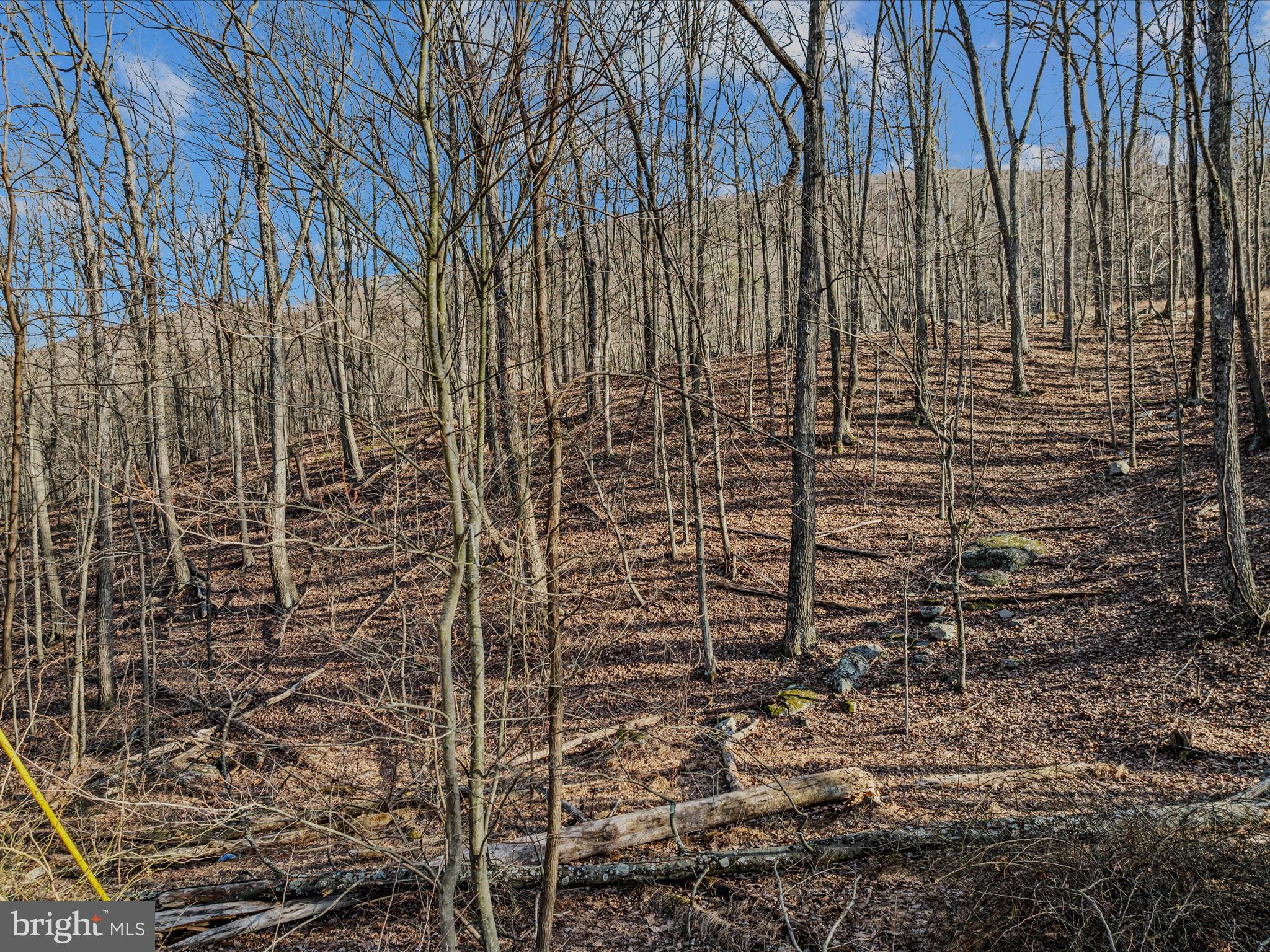 Ore Lane, Unit 25 Berkeley Springs, WV 25411 - Photo 8 of 23 Ore lane-Berkeley Springs-21