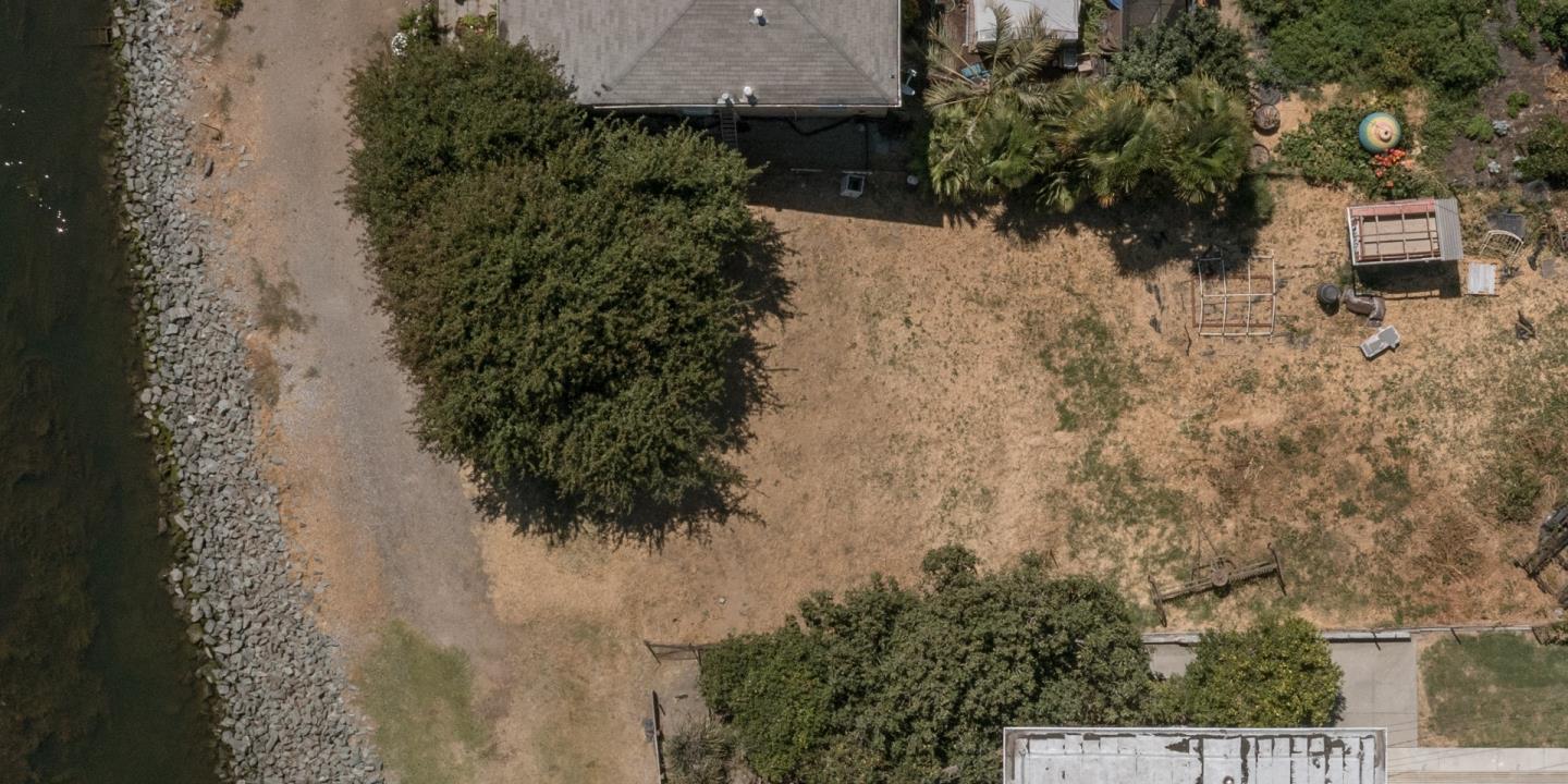4375 Willow Road Bethel Island, CA 94511 - Photo 5 of 12 a view of a yard with plants and a bench