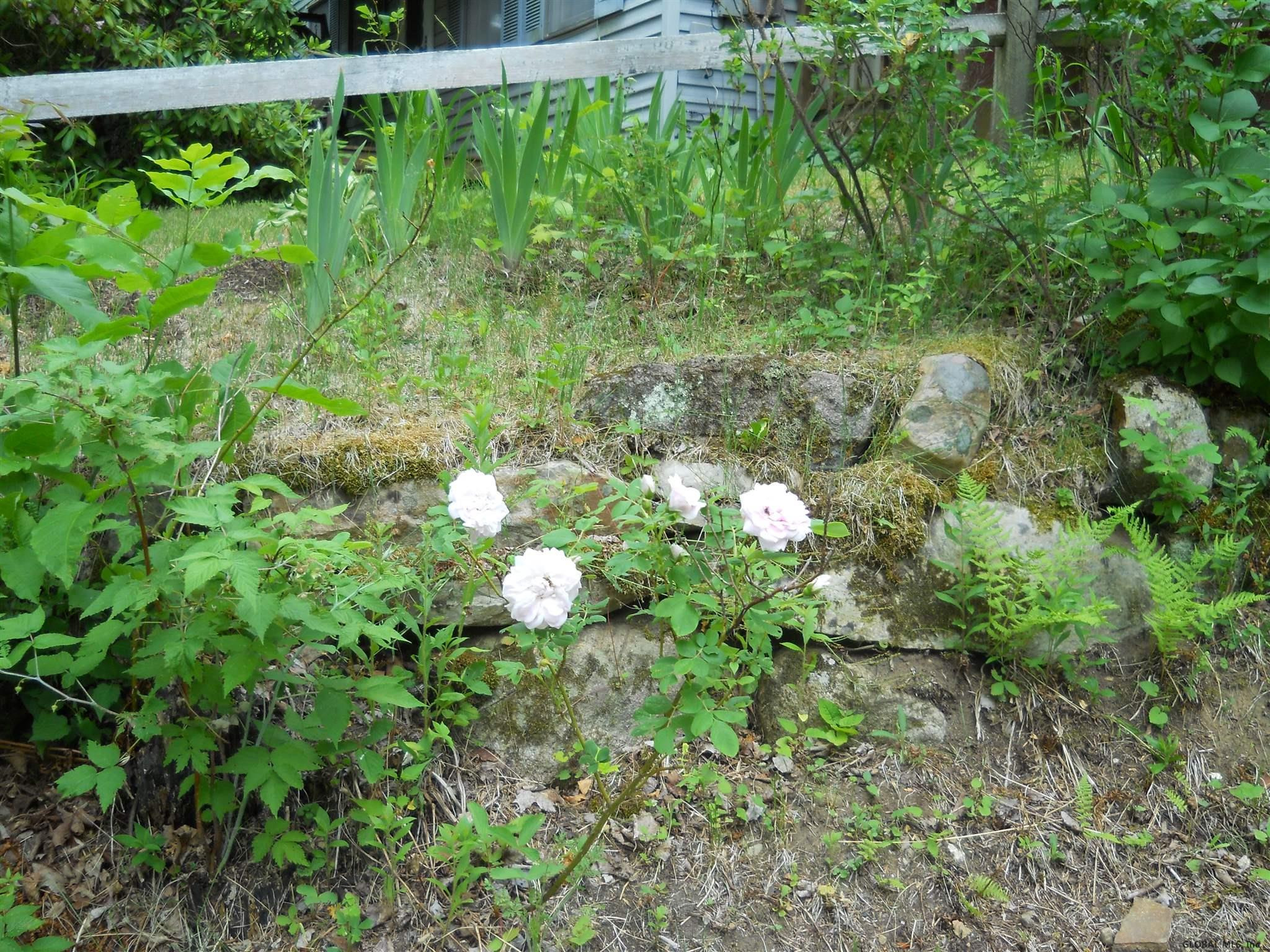 44 Mountain View Road Hague, NY 12836 - Photo 9 of 16 Photo 9