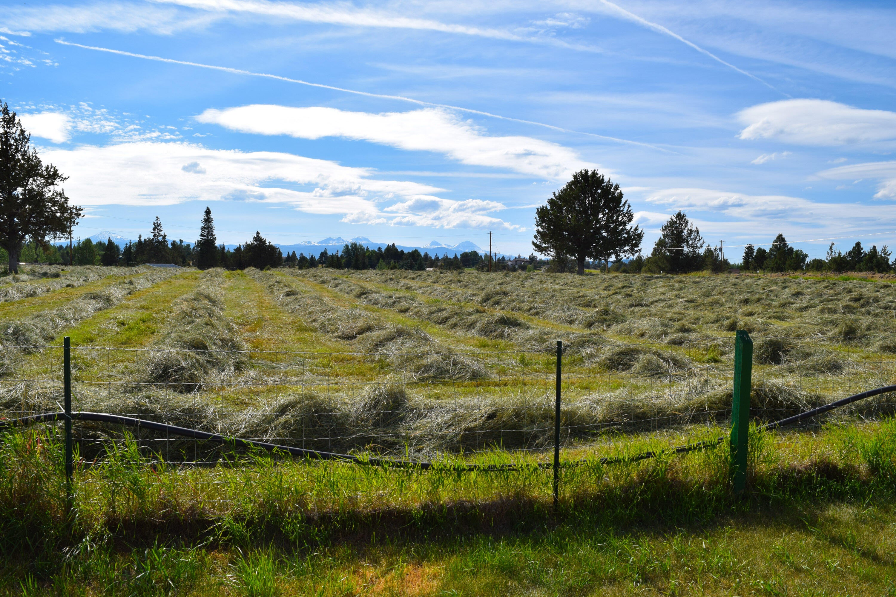 61365 Ward Road Bend, OR 97702 - Photo 62 of 71 DSC_0598