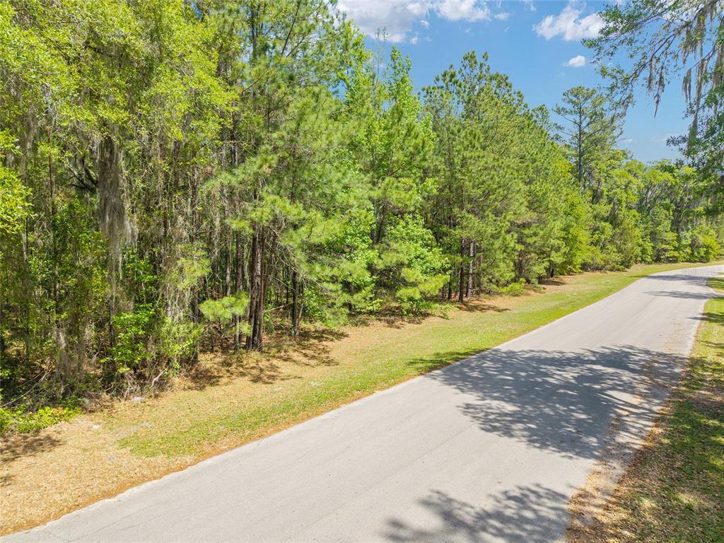 144 Southwest Court Road Ocala, FL 34482 - Photo 11 of 24