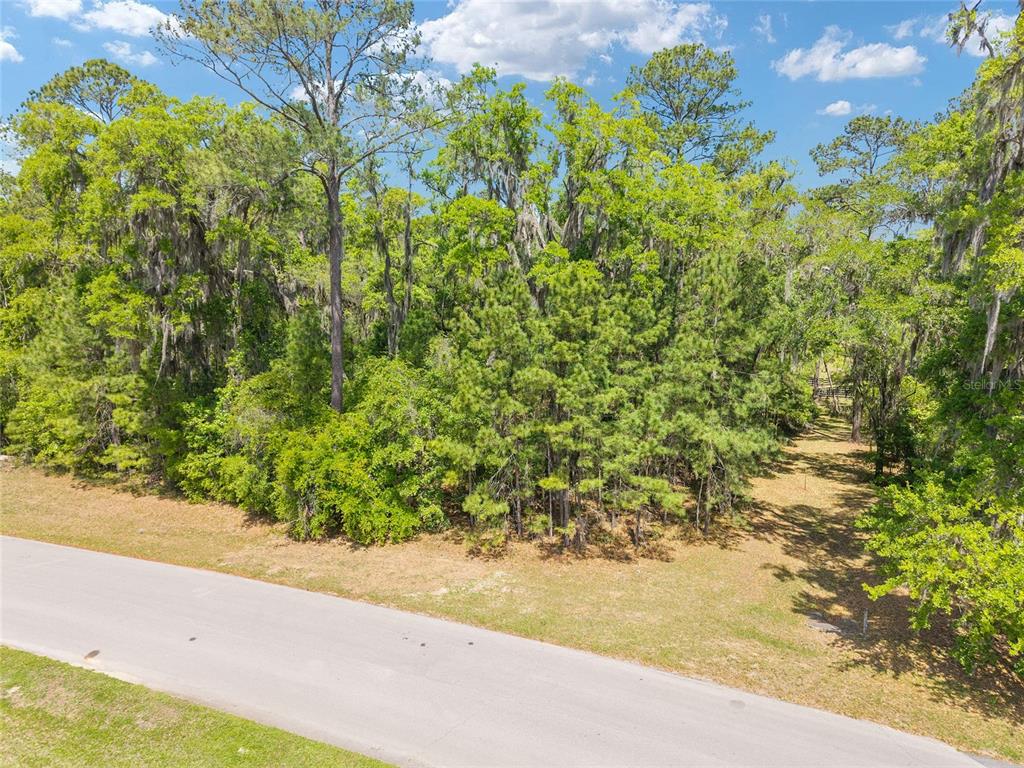 144 Southwest Court Road Ocala, FL 34482 - Photo 12 of 24