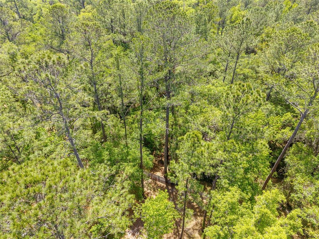 144 Southwest Court Road Ocala, FL 34482 - Photo 21 of 24