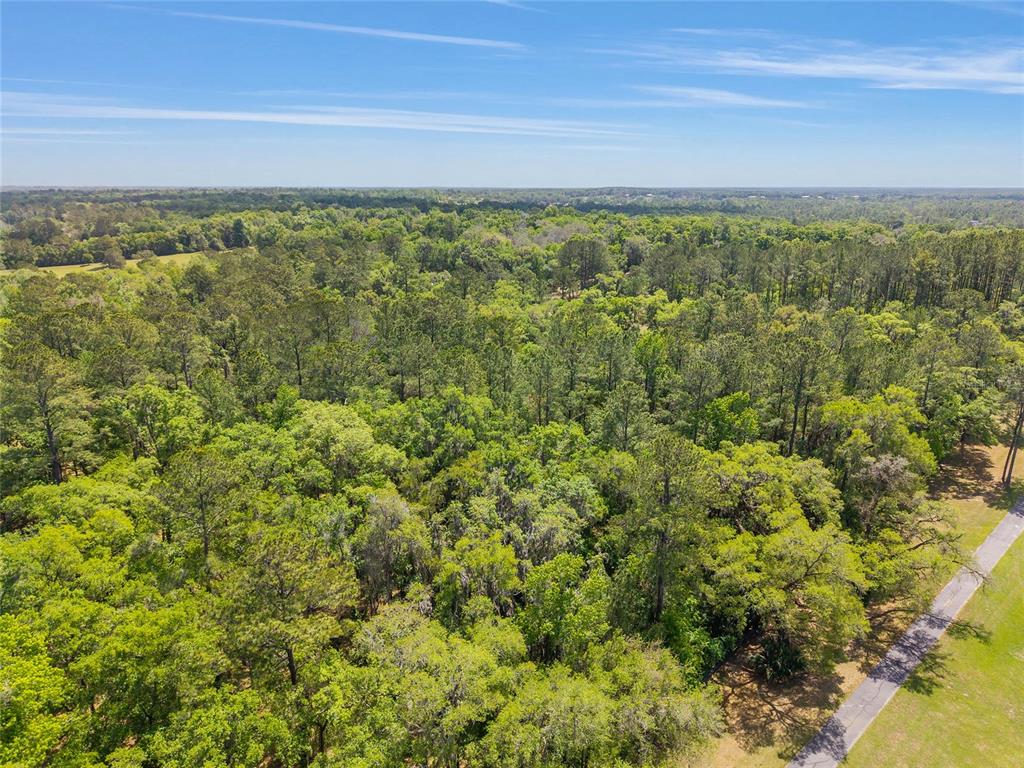 144 Southwest Court Road Ocala, FL 34482 - Photo 22 of 24