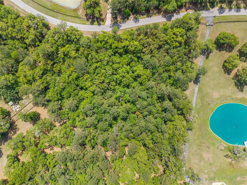 144 Southwest Court Road Ocala, FL 34482 - Photo 23 of 24