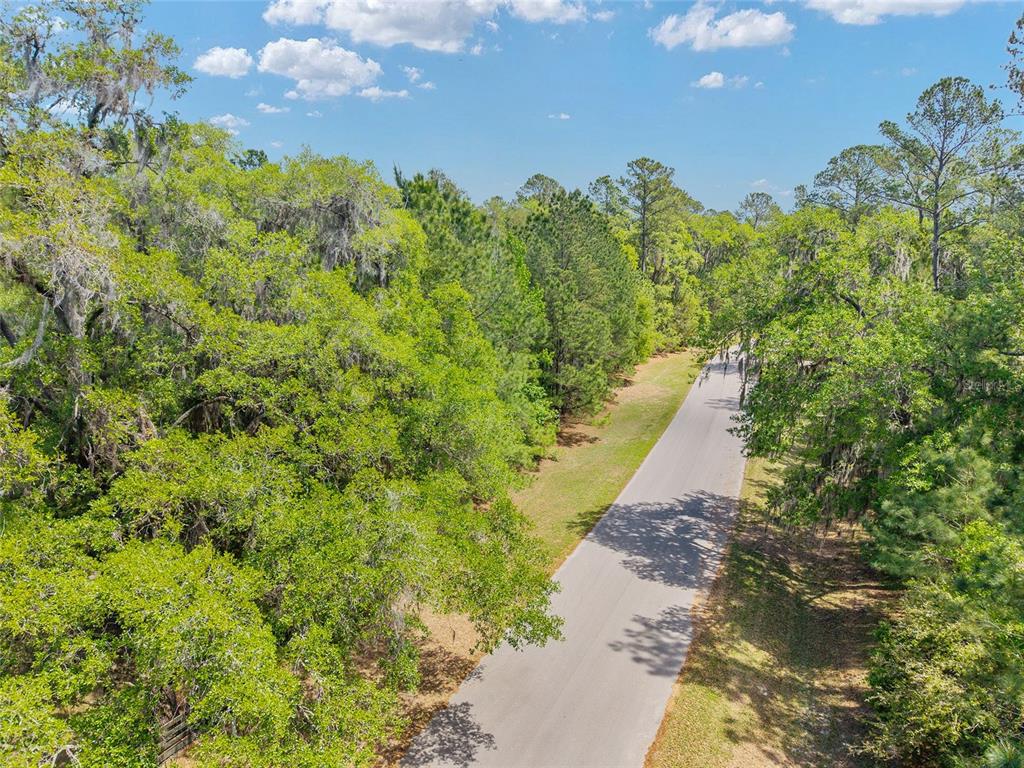 144 Southwest Court Road Ocala, FL 34482 - Photo 10 of 24