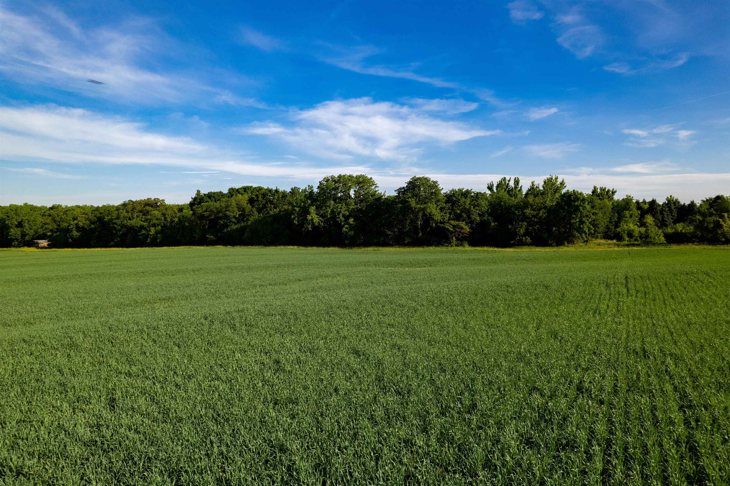 0 South Stone Hill Road Chana, IL 61015 - Photo 17 of 37