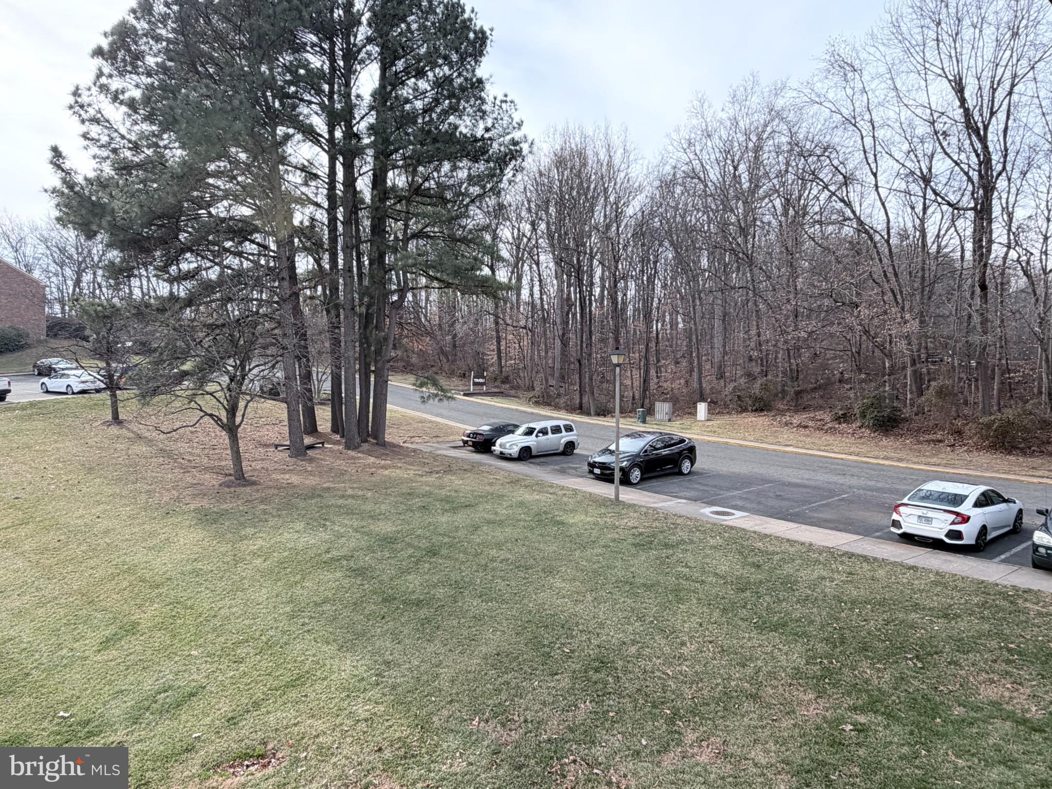 5823 S Royal Ridge Drive Springfield, VA 22152 - Photo 28 of 30 a view of a park with large trees