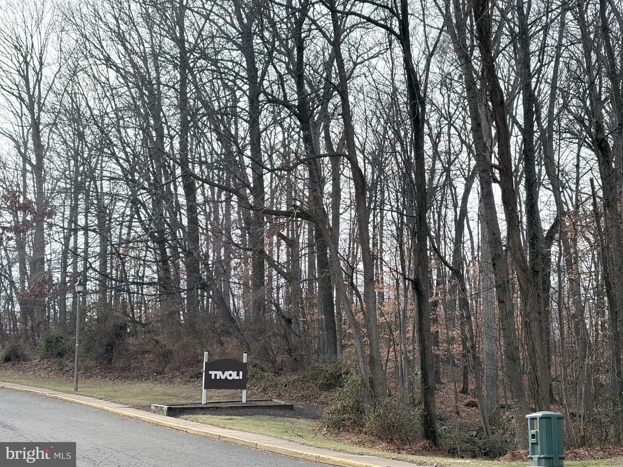 5823 S Royal Ridge Drive Springfield, VA 22152 - Photo 29 of 30 a view of a park with large trees