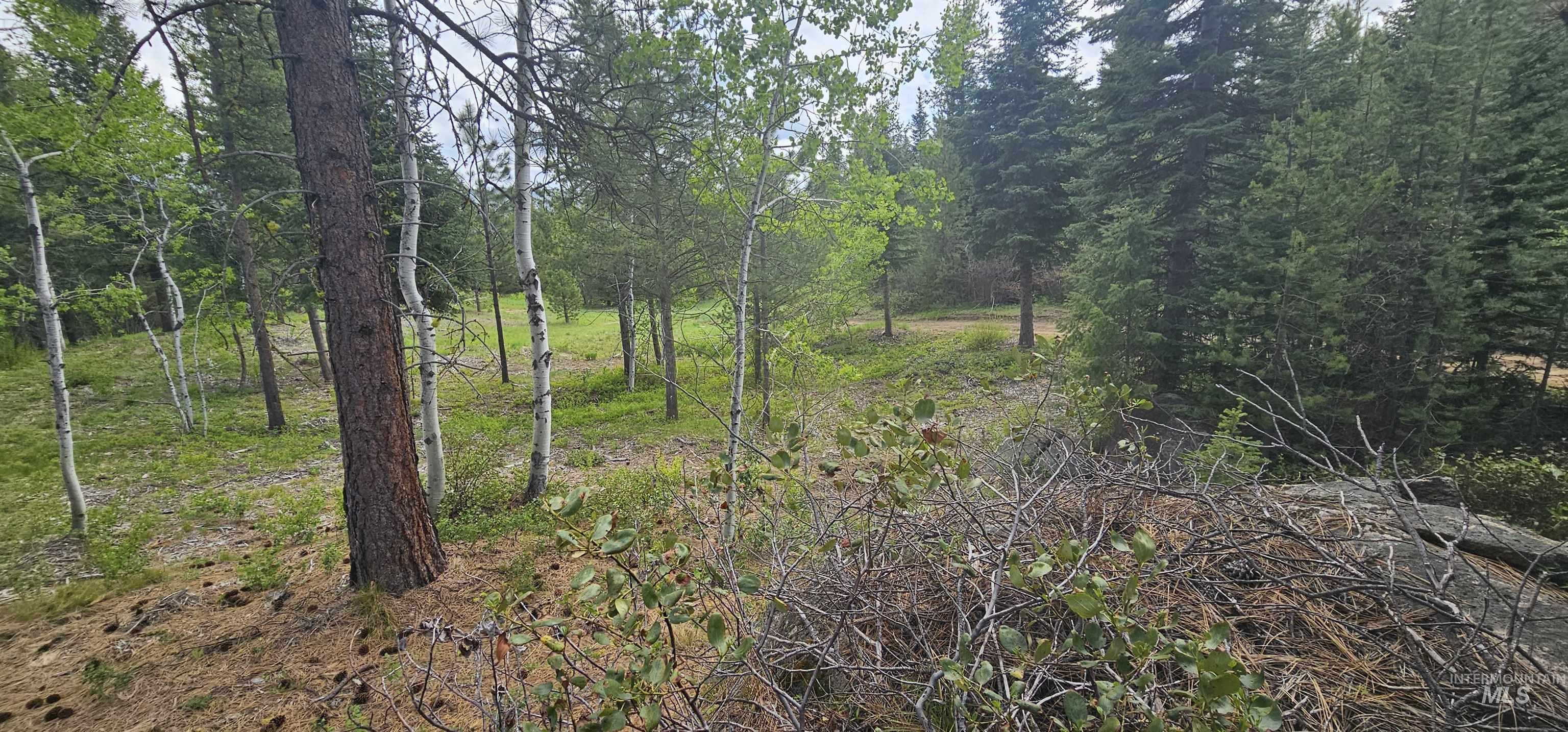 23 Sawtooth Loop Cascade, ID 83611 - Photo 19 of 45