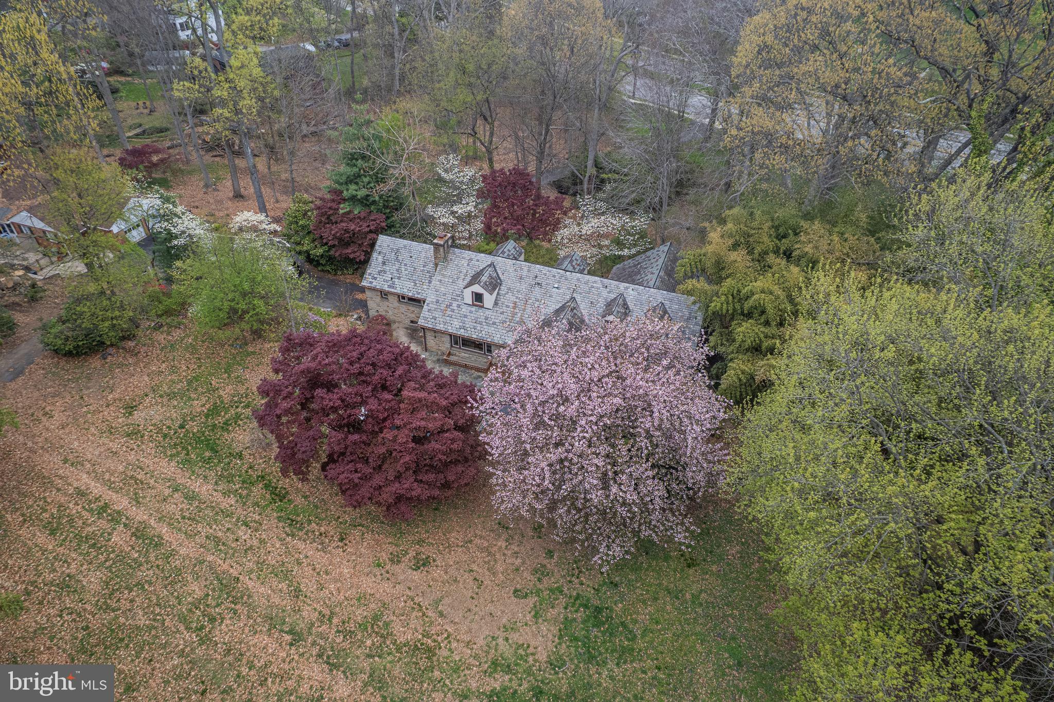 717 Hillen Road Baltimore, MD 21286 - Photo 3 of 5