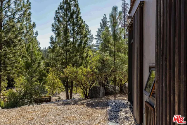 a front view of a house with trees and plants