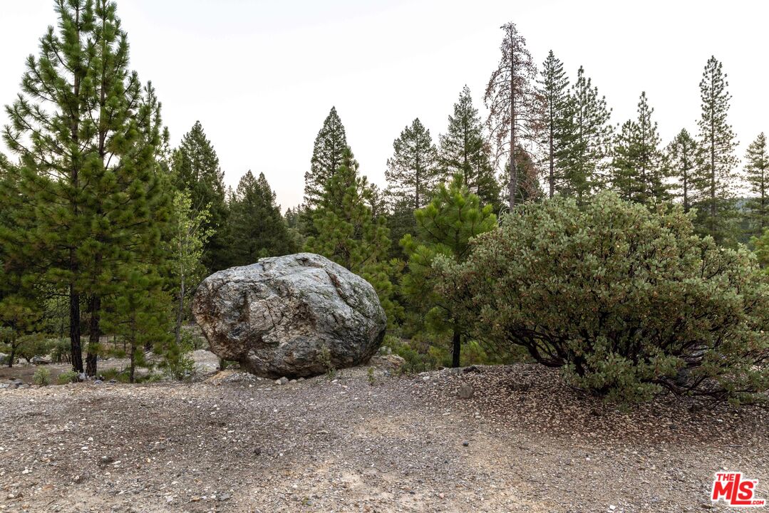 12789 Sailor Flat Road Nevada City, CA 95959 - Photo 35 of 42 a view of a backyard with large trees