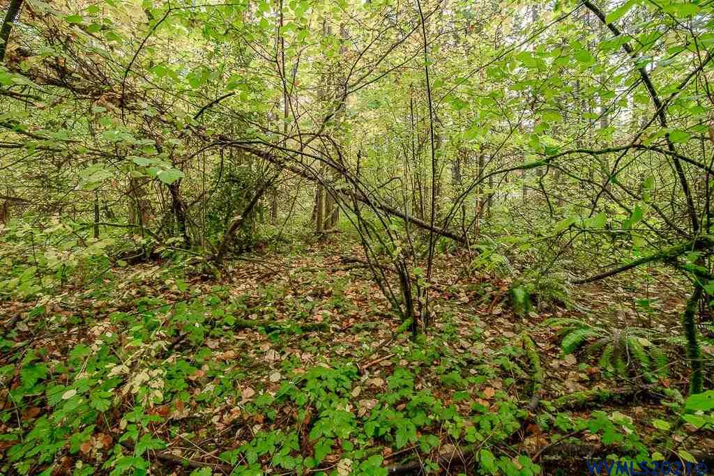 Bramblewood Lane Albany, OR 97321 - Photo 28 of 34