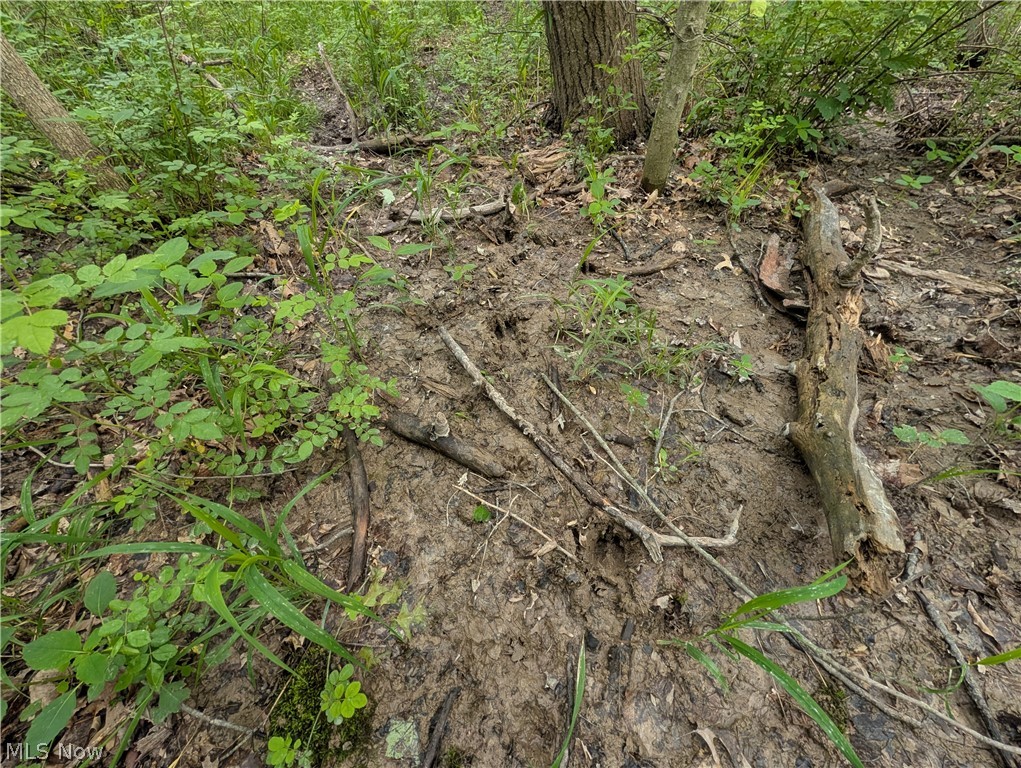West Western Reserve Road Canfield, OH 44406 - Photo 8 of 15
