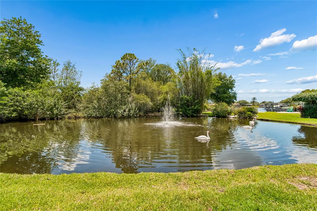 5851 Cachette De Riviera Court New Port Richey, FL 34655 - Photo 71 of 83