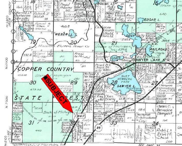 W9008 Race Lndg Road Channing, MI 49815 - Photo 12 of 14