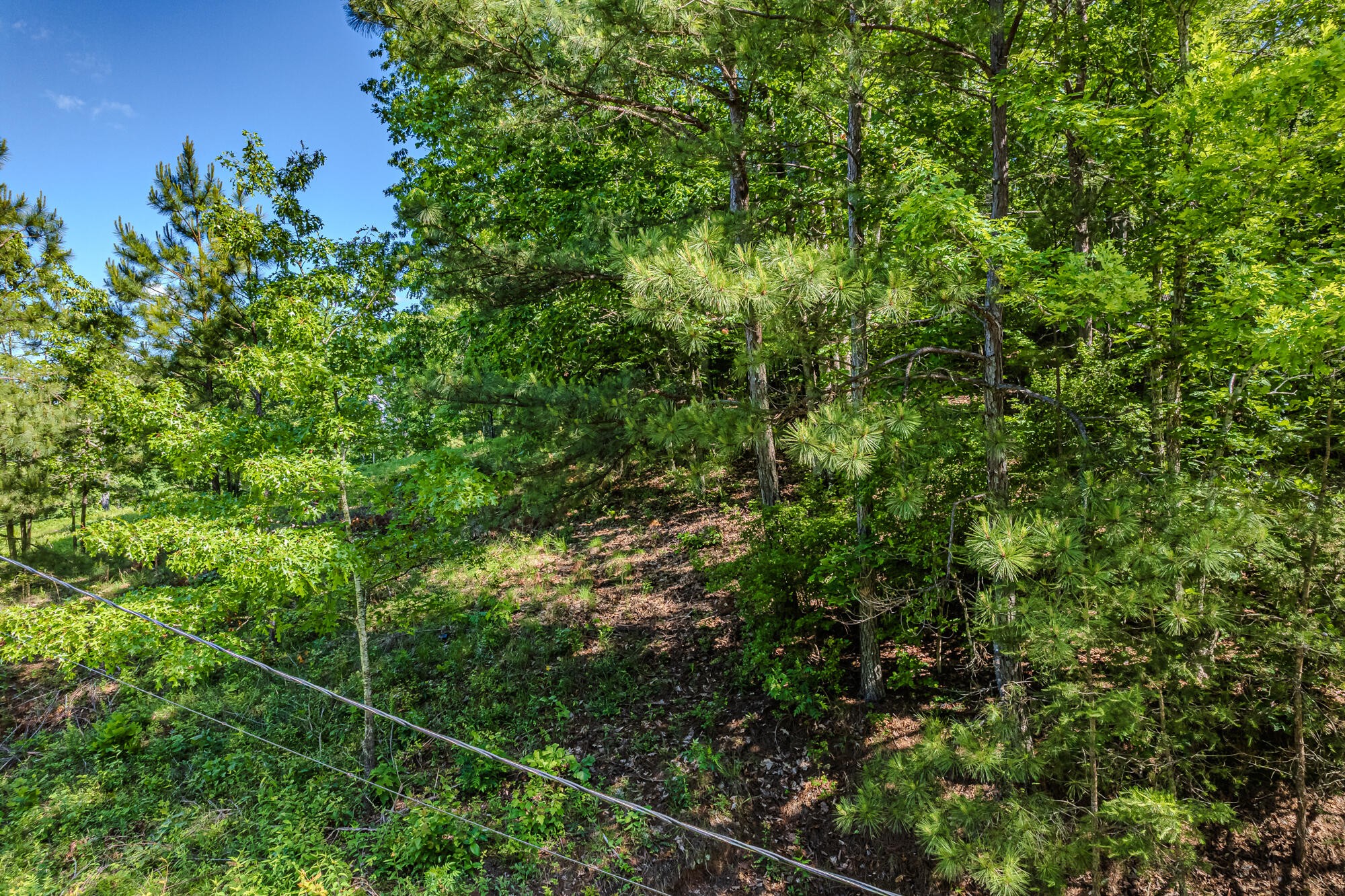 2163 Shiloh Road Decatur, TN 37322 - Photo 11 of 13