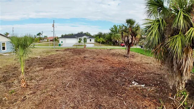 a view of a yard with palm trees