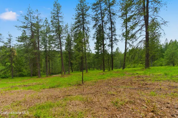$299,500 | Parcel A South Dunlap Road, Harrison, ID 83833