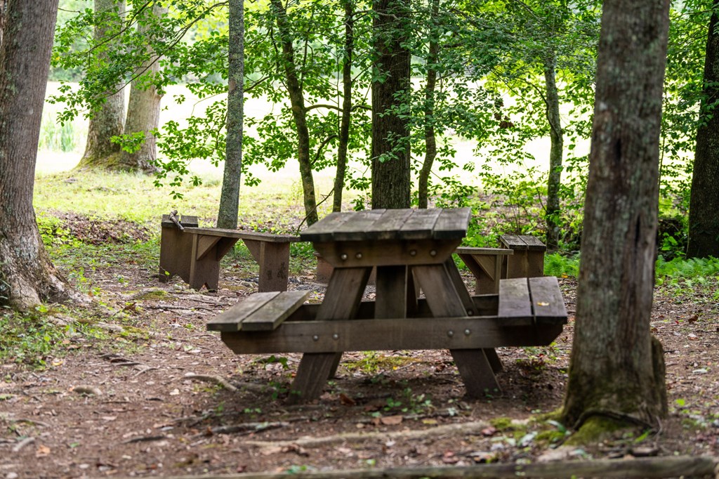 8560 Beaver Dam Road Murphy, NC 28906 - Photo 41 of 50