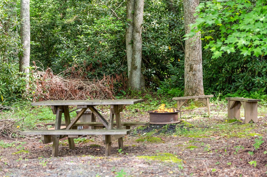 8560 Beaver Dam Road Murphy, NC 28906 - Photo 47 of 50