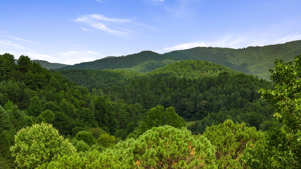 8560 Beaver Dam Road Murphy, NC 28906 - Photo 7 of 50