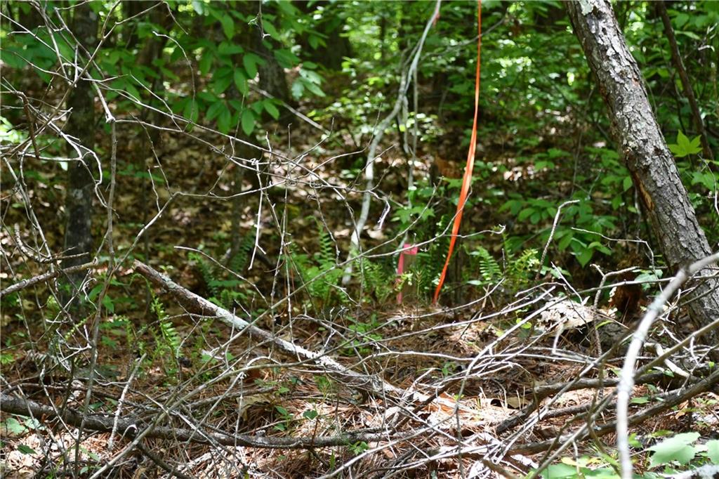 1 Wilson Road Temple, GA 30179 - Photo 41 of 88