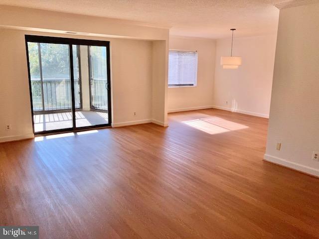 5902 Mt Eagle Drive, Unit 106 Alexandria, VA 22303 - Photo 14 of 73 Enclosed balcony and dining room