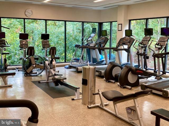 5902 Mt Eagle Drive, Unit 106 Alexandria, VA 22303 - Photo 3 of 73 Bright fitness center with scenic views.