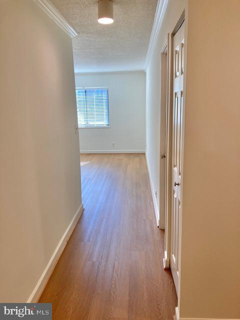 5902 Mt Eagle Drive, Unit 106 Alexandria, VA 22303 - Photo 31 of 73 an empty room with wooden floor and a window