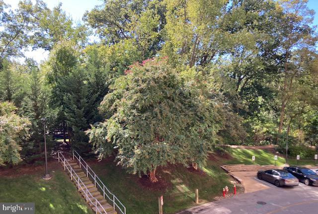 5902 Mt Eagle Drive, Unit 106 Alexandria, VA 22303 - Photo 53 of 73 a view of an outdoor space and a yard