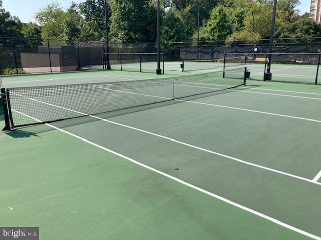 5902 Mt Eagle Drive, Unit 106 Alexandria, VA 22303 - Photo 7 of 73 Sunny tennis & pickleball courts ready for play