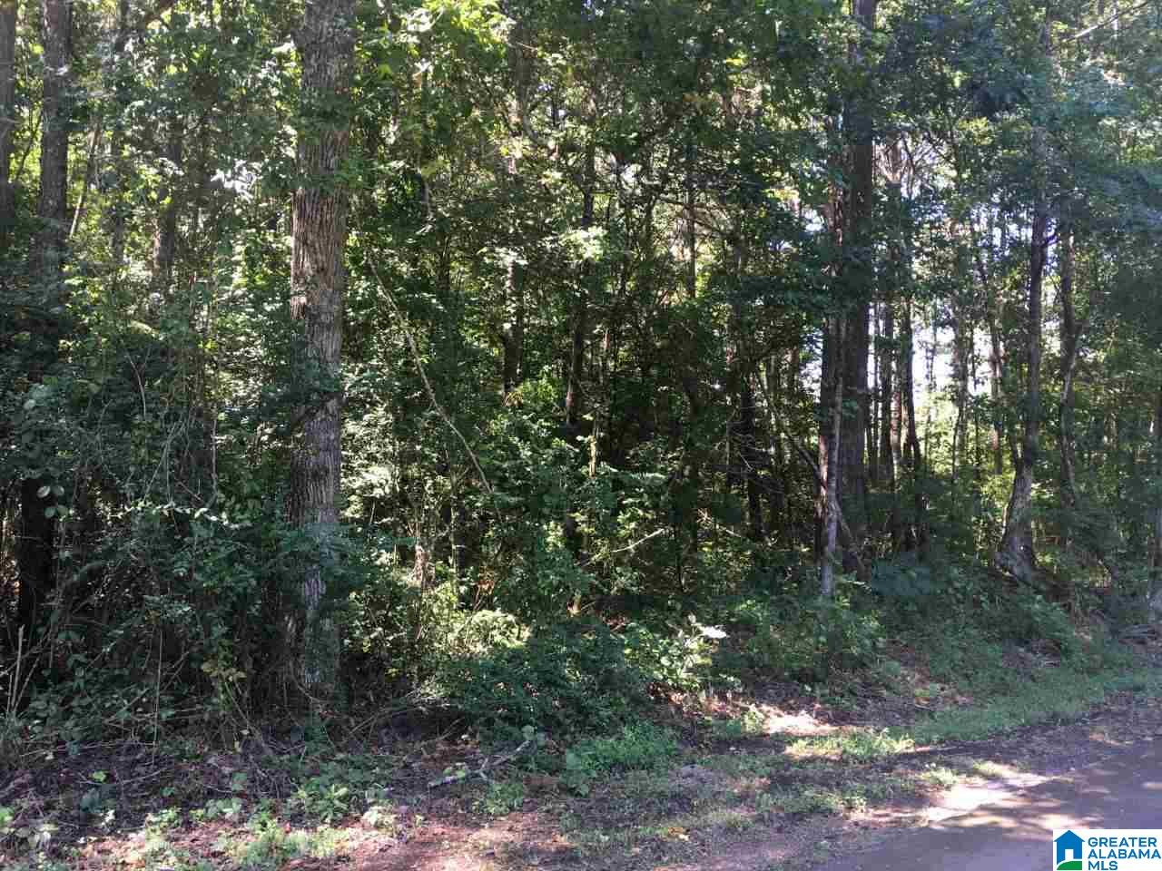 Holly Grove Road, Unit 1 Jasper, AL 35501 - Photo 2 of 3