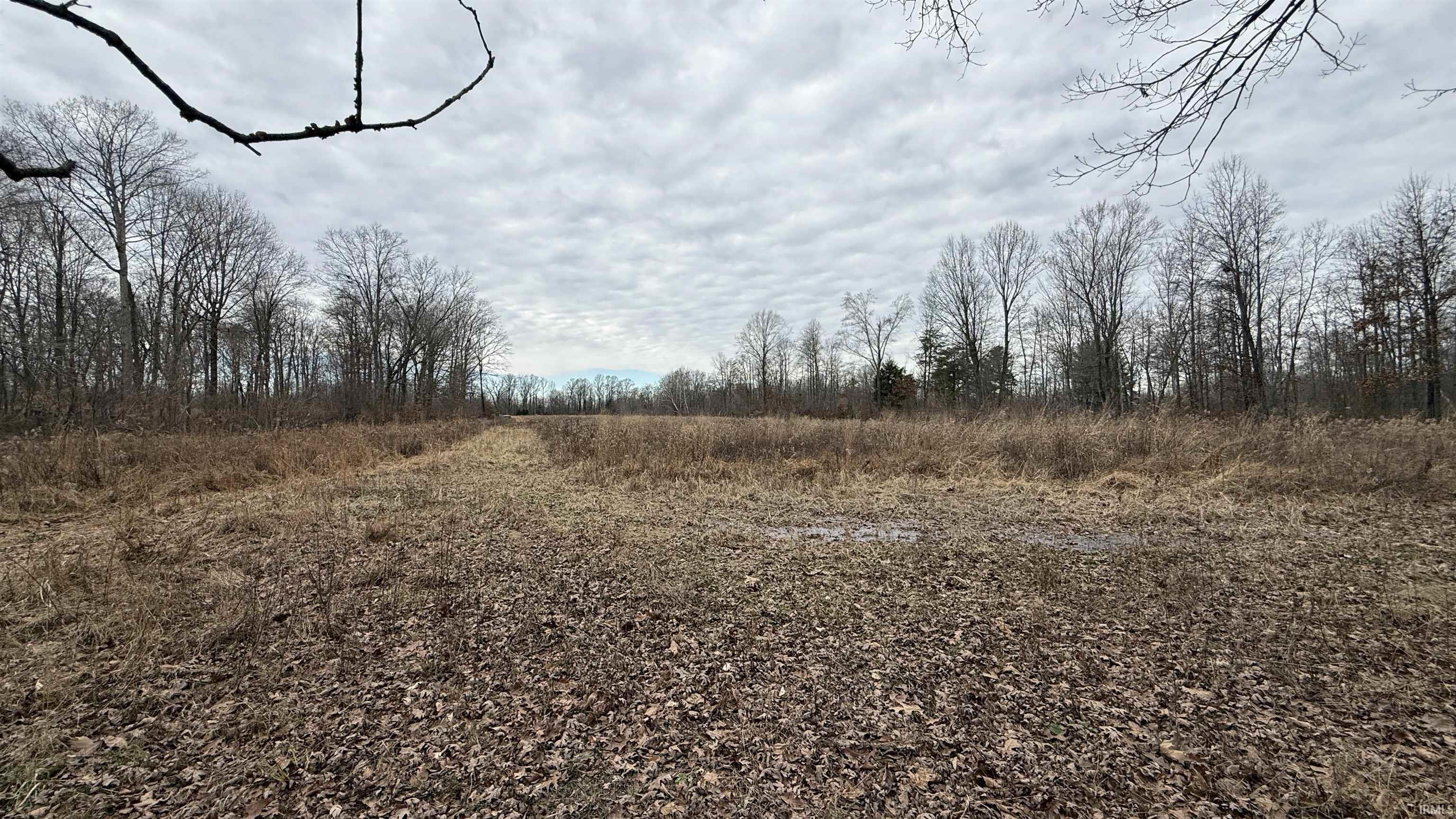 0 Steubenville Road Coal City, IN 47427 - Photo 2 of 11