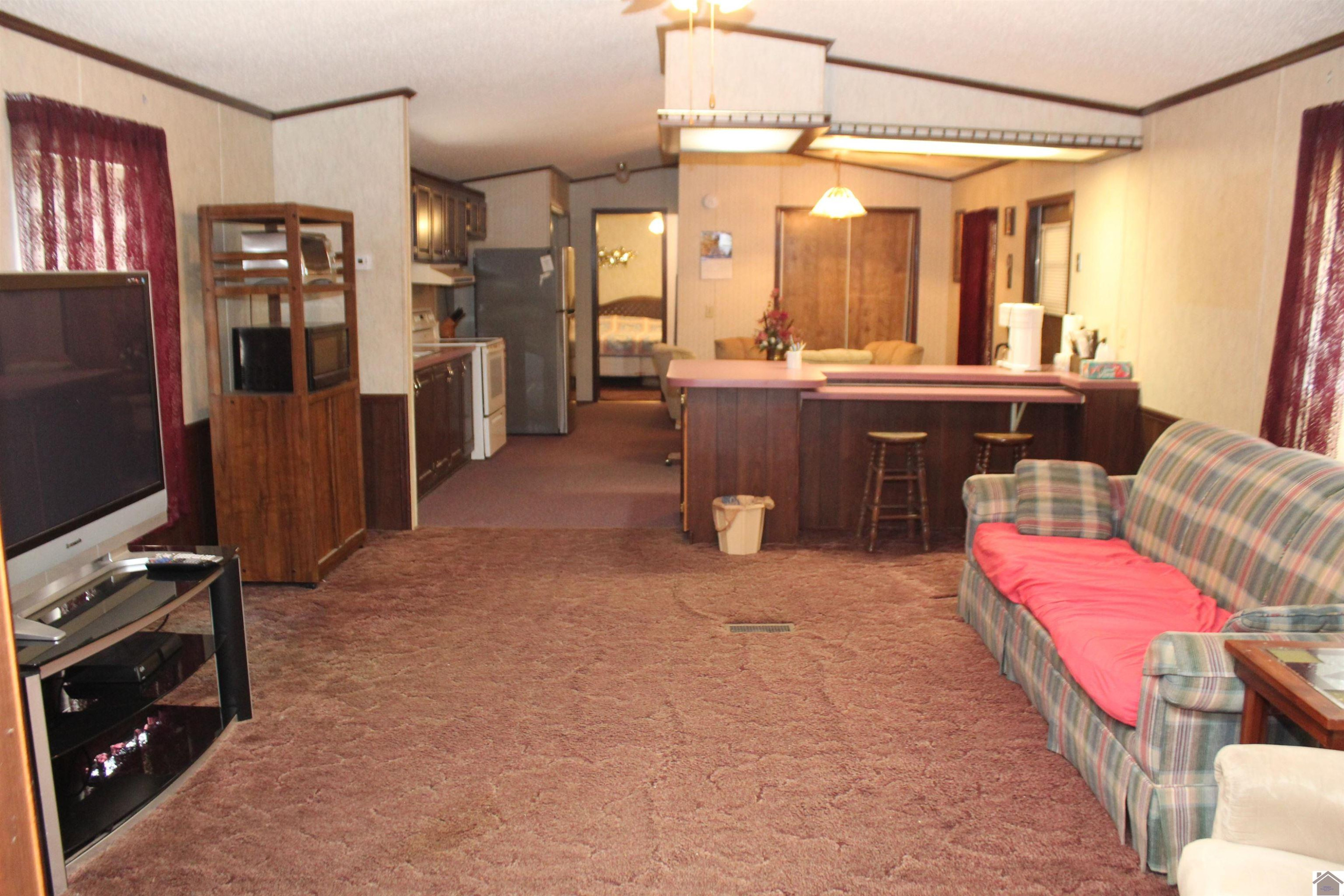 165 Hill Top Road Grand Rivers, KY 42045 - Photo 10 of 28 Photo 10