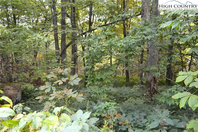 a view of a lush green field