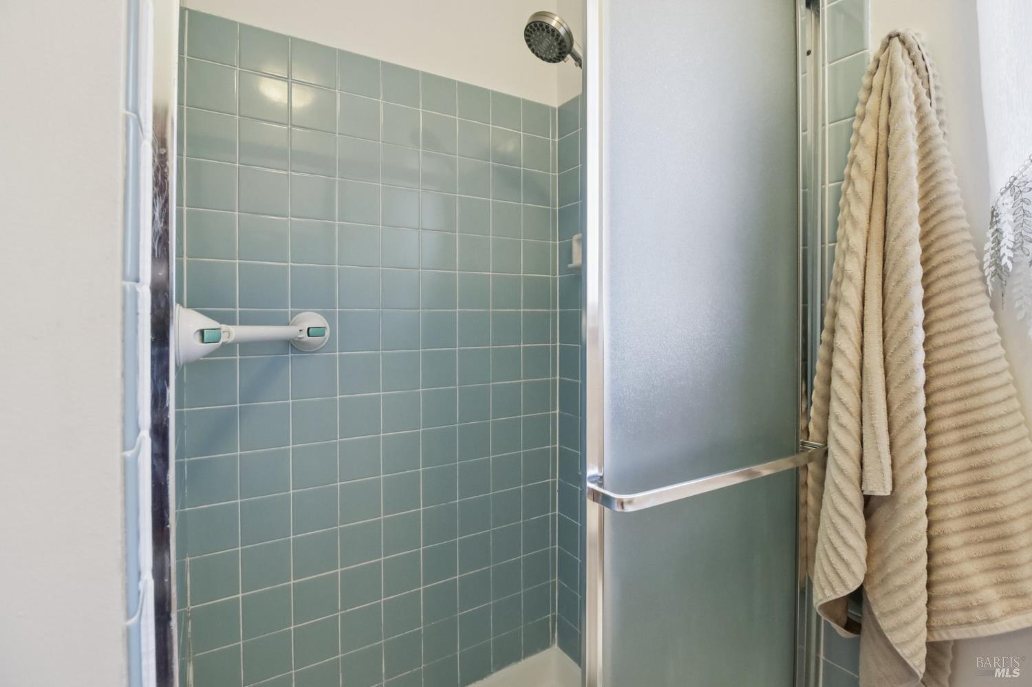 3217 Ensenada Drive San Ramon, CA 94583 - Photo 38 of 64 a bathroom with a shower